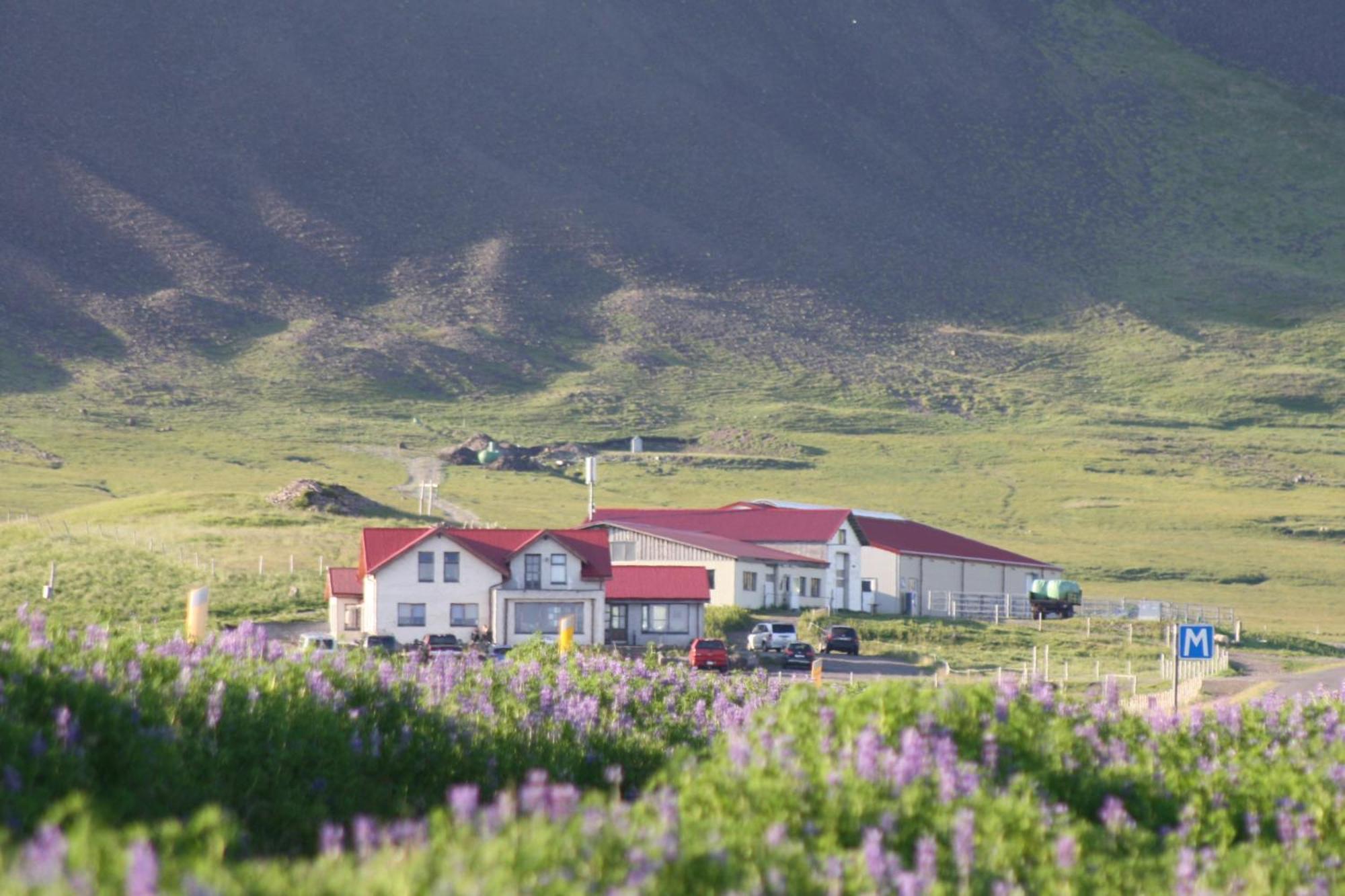 Lysuholl Hotell Snæfellsbær Exteriör bild
